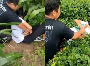 Hiếp dâm bạn học ngay tại cánh đồng
